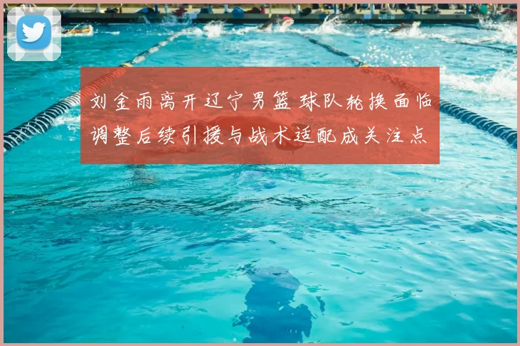 刘金雨离开辽宁男篮 球队轮换面临调整后续引援与战术适配成关注点