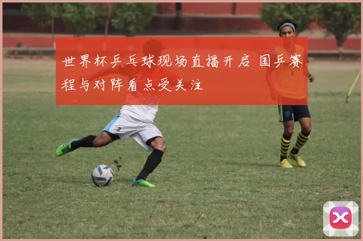 世界杯乒乓球现场直播开启 国乒赛程与对阵看点受关注