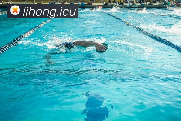 体育平台app线上官方官方网站入口发展历程